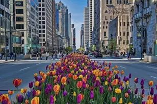 161 E Chicago Ave, Chicago, IL 60611 - Photo 19