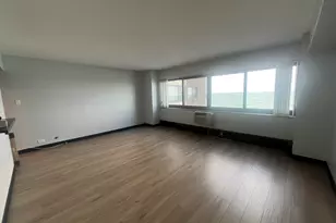 7337 S South Shore Dr, Chicago, IL 60649 - Photo 9