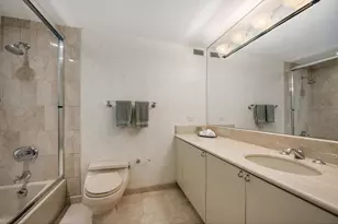 161 E Chicago Ave, Chicago, IL 60611 - Photo 31