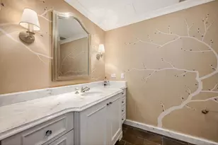 161 E Chicago Ave, Chicago, IL 60611 - Photo 33