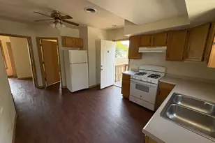 27 N Hickory St, Joliet, IL 60435 - Photo 3