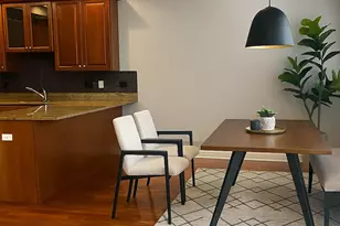 334 N Jefferson St, Chicago, IL 60661 - Photo 9