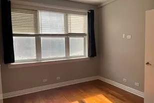 334 N Jefferson St, Chicago, IL 60661 - Photo 19