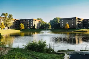 840 Elder Rd, Homewood, IL 60430 - Photo 9