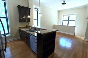 851 N Lasalle Blvd, Chicago, IL 60610 - Photo 5