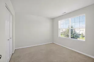 232 Julep Ave, Oswego, IL 60543 - Photo 27