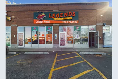 301 W 79th Street, Chicago, IL 60620 - Photo 7