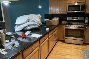 612 S Western Ave, Chicago, IL 60612 - Photo 7