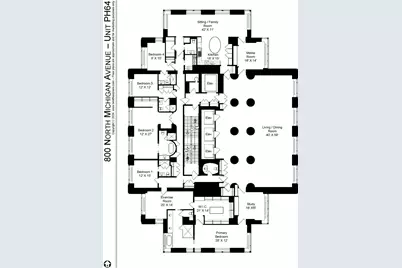 800 N Michigan Avenue #PH64, Chicago, IL 60611 - Photo 53