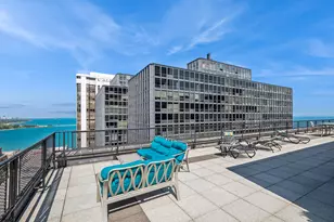 253 E Delaware Pl, Chicago, IL 60611 - Photo 19