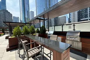 512 N McClurg Ct, Chicago, IL 60611 - Photo 33