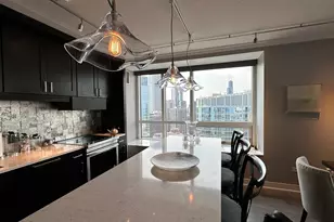 512 N McClurg Ct, Chicago, IL 60611 - Photo 9