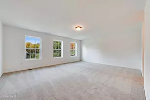 25849 W Winding Hollow Dr, Channahon, IL 60410 - Photo 11