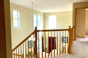 1003 Plaintain Dr, Joliet, IL 60431 - Photo 13