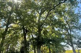 14254 Barber Greene Rd, Sycamore, IL 60178 - Photo 21