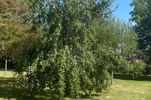 14254 Barber Greene Rd, Sycamore, IL 60178 - Photo 45