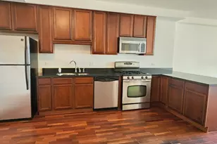 1250 S Indiana Ave, Chicago, IL 60605 - Photo 7