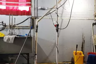 16646 Maryland Ave, South Holland, IL 60473 - Photo 29