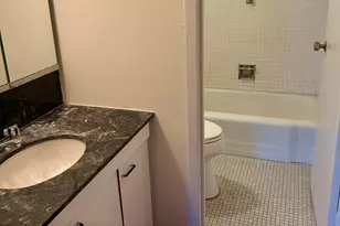 400 E Randolph St, Chicago, IL 60601 - Photo 11