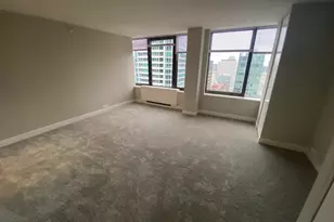 333 E Ontario St, Chicago, IL 60611 - Photo 11