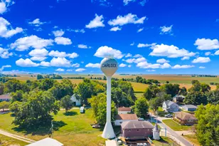 502 Travis Dr, Carlock, IL 61725 - Photo 47
