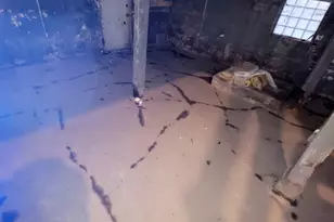 6953 S Elizabeth St, Chicago, IL 60636 - Photo 13