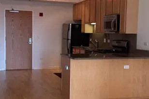 1250 S Indiana Ave, Chicago, IL 60605 - Photo 11