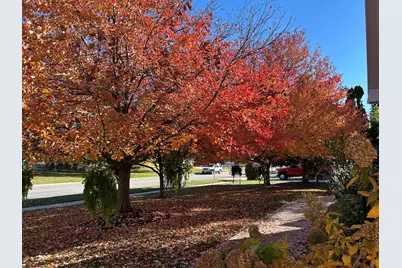 2006 Woodbine Road, Bloomington, IL 61704 - Photo 9