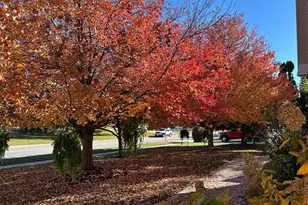 2006 Woodbine Rd, Bloomington, IL 61704 - Photo 9