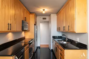 400 E Ohio St, Chicago, IL 60611 - Photo 11