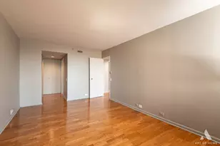400 E Ohio St, Chicago, IL 60611 - Photo 21