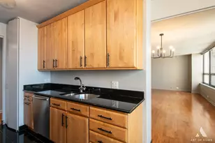 400 E Ohio St, Chicago, IL 60611 - Photo 13