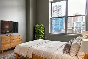 111 S Morgan St, Chicago, IL 60607 - Photo 11