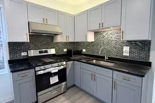 4357 S Whipple St, Chicago, IL 60632 - Photo 15