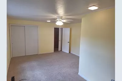 101 E Lincoln Street, Sidell, IL 61876 - Photo 19