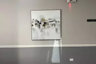 275 E Railroad Ave, Bartlett, IL 60103 - Photo 5