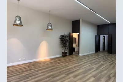 833 N California Avenue #1C, Chicago, IL 60622 - Photo 5