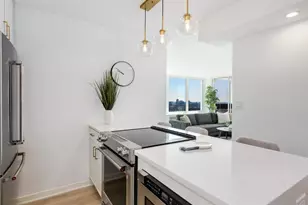 1455 N Sandburg Terrace, Chicago, IL 60610 - Photo 15