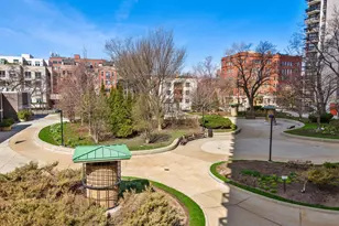 1455 N Sandburg Terrace, Chicago, IL 60610 - Photo 41