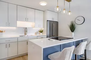 1455 N Sandburg Terrace, Chicago, IL 60610 - Photo 13