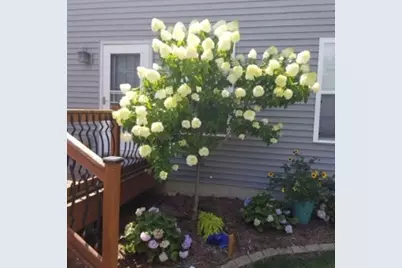 2404 Treeline Drive, Bloomington, IL 61704 - Photo 55