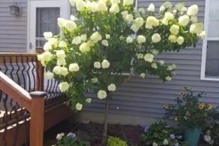 2404 Treeline Drive, Bloomington, IL 61704 - Photo 55