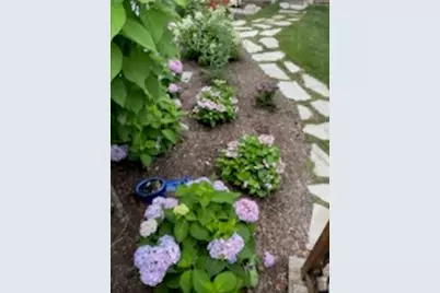 2404 Treeline Drive, Bloomington, IL 61704 - Photo 53