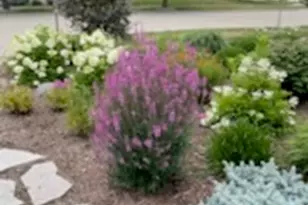 2404 Treeline Drive, Bloomington, IL 61704 - Photo 51