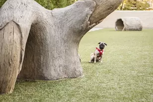 2550 N Lakeview Ave, Chicago, IL 60614 - Photo 31