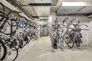 1717 S Prairie Ave, Chicago, IL 60616 - Photo 41