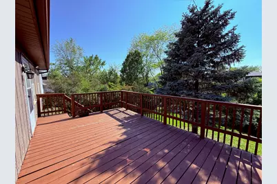 19828 Monterey Avenue, Lynwood, IL 60411 - Photo 25