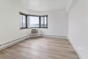 7337 S South Shore Dr, Chicago, IL 60649 - Photo 13