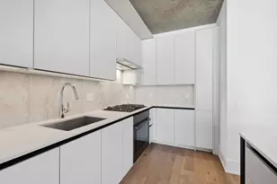 234 W Polk St, Chicago, IL 60607 - Photo 11