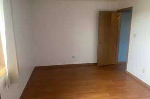 10516 Ridge Cove Dr, Chicago Ridge, IL 60415 - Photo 15